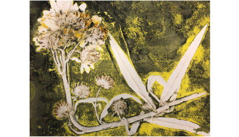 nancyRehlers_After-the-Storm-I-(Arise)_Monotype_-2024-v2